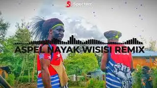 ASPEL NAYAK WISISI TERBARU 2025 LANI MUSIC