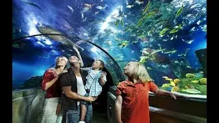 10 Best Tourist Attractions in Birmingham, UK