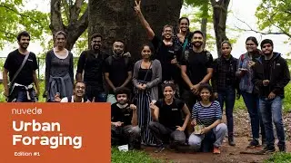 Mushroom Urban Foraging - Edition #1: Observe - Identify - Interact | First Time in India