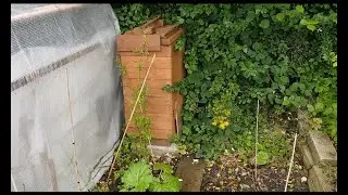 Worm farm Update | How to Look After Tiger Worms | Feeding Worms | General Care