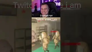 Заюш, мы тут отдыхаем#twitchstreamer #twitch #funny #memes #твич #underward#stream #snakeangry#смех