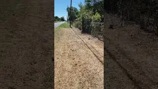 Part Two Of Ditch Cleanup