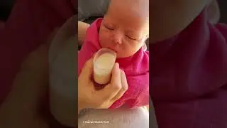 Newborn cup feeding demo