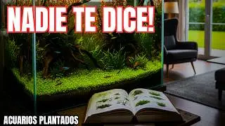 Acuarios Plantados: El MÉTODO que Usan los Expertos (Cría, Mantenimiento y Errores)