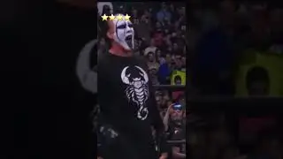 Ric Flair - Chop