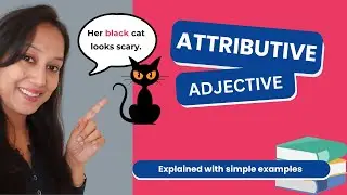 What are Attributive adjectives? #adjective #english