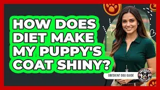 How Does Diet Make My Puppy's Coat Shiny? - Obedient Dog Guide