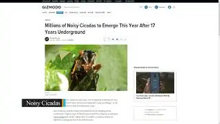 Climate change SpaceX and Cicadas This Week