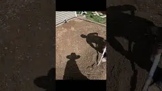 POV Grading For Concrete! #shorts #concrete #concretelife #construction #constructionvideo