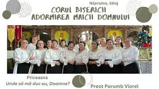 Corul Bisericii Ortodoxe Năpradea - Priceasna 