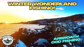 Cod Fishing in a Blizzard 🌨️ | Arbroath | Winter COD Fishing