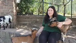 JULIA'S ZOO NAH DRAN 🤩🌍🐐 Folge 9: Die Afrikanische Zwergziege