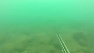 Pescasub chiriqui boca del rio tabasara