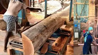 Wood cutting Amazing💥 Woodworking| Factory Extreme Wood Cutting Sawmill Machines, Cheesy Wood Giant 