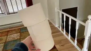 I STOLE TOILET PAPER...