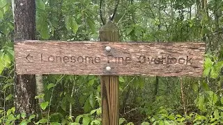 Lonesome Pine Overlook 05/2022