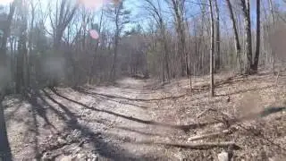 Upton State Forest