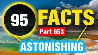 95 Weird Random Amazing Facts