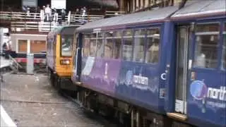 Pacer rail Busses of 2012 and 2013