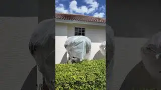 Roof Cleaning in Cape Coral, FL - All Seasons Window Cleaning and Pressure Washing
