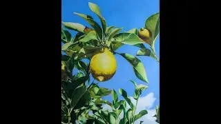 Cerbera Gallery presents: Maria Deely - 