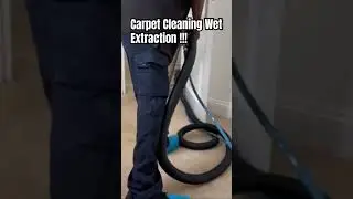 Carpet Cleaning Wool Carpet. Wet Extraction Multiple Stains. Using Prochem Carpet Cleaner #cleaning