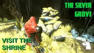 Let's Play Warframe (163) The Silver Grove - Part 4: Visit the Shrine