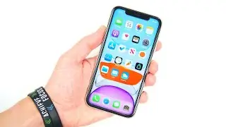 iPhone 11 - 6 Months Later!