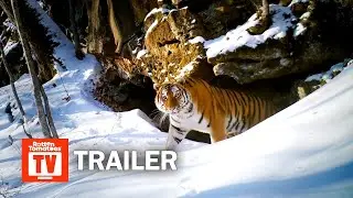 Трейлер &laquo;Замороженной планеты 2&raquo;
