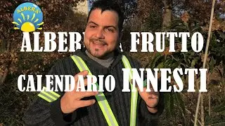 CALENDARIO INNESTI (QUANDO INNESTARE E COME INNESTARE ALBERI DA FRUTTO)