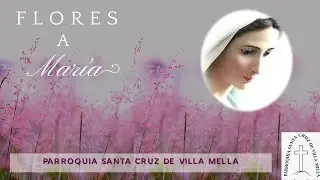 FLORES A MARIA: UNDECIMO DIA. Hoy te traemos, Madre, las Francesillas