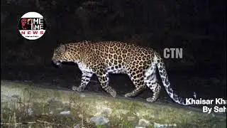 leopard entered in hetero pharmaceuticals limited unit at gadda potharam Industrial sanagreddy