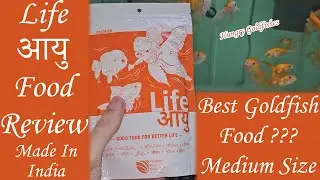 Life Aayu Goldfish Medium Food Review|Best Food For Young Goldfish|Made In India Goldfish Food 👌
