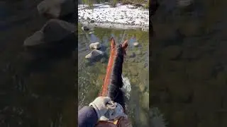 Winter ranch life!  #cowboy #horse #winter #mountains #fun