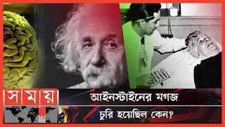 আইনস্টাইনের শেষ ইচ্ছা কী ছিলো? | Albert Einstein | Thomas Stoltz Harvey | Einstein Brain | Somoy TV