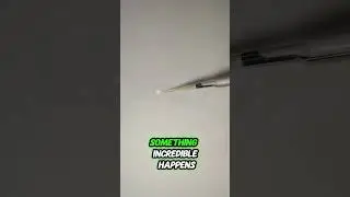 Watch Table Salt Turn into Perfect Microscopic Pyramids!