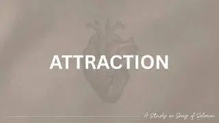 Love, Sex, and the Way of Jesus: Attraction