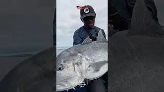 One Cast One Strike! Fishing Adventure in South Pacific Island of Papua, Indonesia! 2025 #Shorts