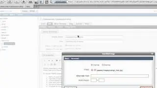 Inserting an Image into TinyMCE within Cascade Server