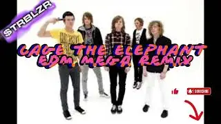 Cage The Elephant EDM Alternative Rock Techno House Mega REmix