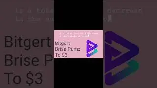 Bitgert Price Prediction | Here's how Bitgert Brise will Pump to $3
