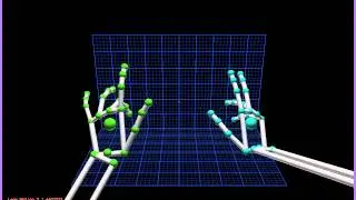 Leap Motion Visualizer