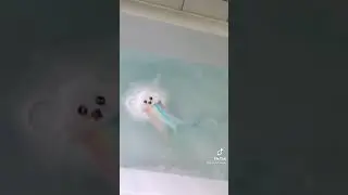 Rainbow Bath Bomb ll TikTok Compilation With Links