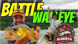Battle Lake Alberta Fishing 🎣 Epic Walleye & Pike Madness!