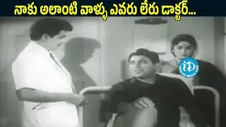How Pity Listening This I Don't Have Anyone Like That Doctor | Nageswara Rao | Savitri | Jaggayya
