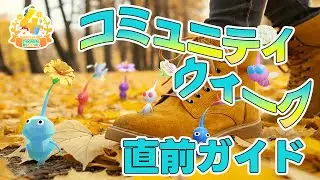 ４周年のコミュニティ・ウィーク直前ガイド！フラワーバッジとスターサングラスをゲットしよう！【ピクミンブルーム/PikminBloom】