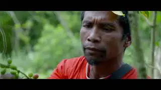 CEPF Wallacea Program