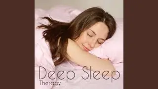 Sleep Efficiency