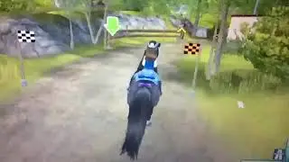 Sso veddel&oslash;p!🐴
