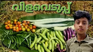 പച്ചക്കറി വിളവെടുപ്പ്